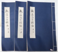 藏品(殷墟文字類編)的圖片