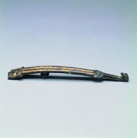 藏品(鎏金獸面直線紋螭龍帶鉤)的圖片