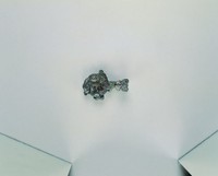 藏品(龍首鳥獸紋帶鉤)的圖片