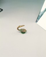 藏品(水禽形鎏金帶鉤)的圖片