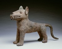 藏品(非洲銅豹)的圖片