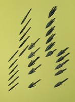 藏品(箭頭)的圖片