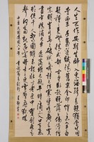 藏品(放翁長歌行行草中堂)的圖片