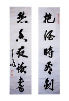 藏品(草書對聯)的圖片