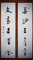 藏品(草書對聯)的圖片