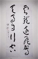 藏品(草書對聯)的圖片