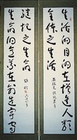 藏品(草書對聯)的圖片