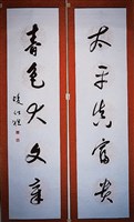 藏品(草書對聯)的圖片