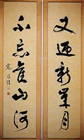 藏品(草書對聯)的圖片