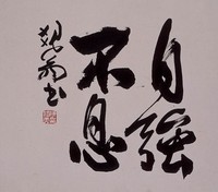 藏品(自強不息)的圖片