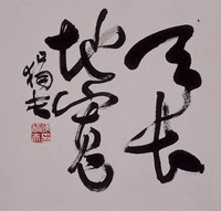 藏品(天長地寬)的圖片