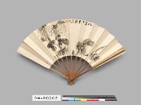 藏品(菊花扇面)的圖片