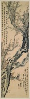藏品(梅花)的圖片