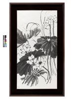 藏品(荷)的圖片