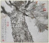 藏品(松)的圖片