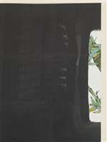 藏品(靜竹)的圖片