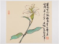 藏品(香水百合)的圖片