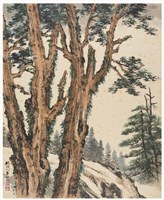 藏品(高山森林)的圖片