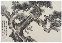 藏品(峽谷老松)的圖片