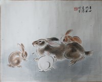 藏品(兔)的圖片