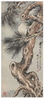 藏品(老松寒月)的圖片