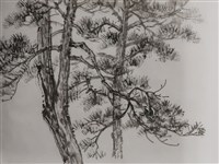 藏品(松寫生)的圖片