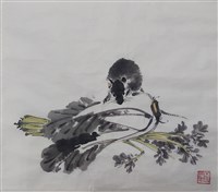 藏品(老鼠白菜)的圖片