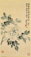 藏品(牡丹)的圖片