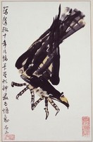 藏品(鷹)的圖片
