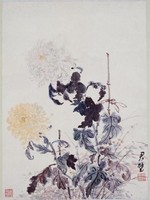 藏品(菊花)的圖片