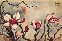 藏品(紫玉蘭)的圖片