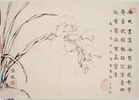 藏品(垂枝叢蘭)的圖片