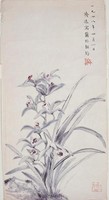 藏品(蘭花)的圖片