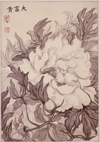 藏品(大富貴)的圖片