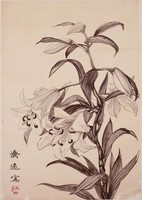 藏品(百合花)的圖片