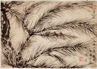 藏品(蒼松二鴿)的圖片