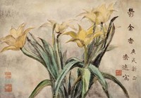 藏品(鬱金香)的圖片