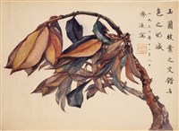 藏品(枝葉交錯)的圖片