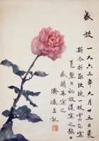 藏品(盛放)的圖片