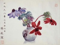 藏品(兔葵)的圖片