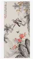 藏品(紫藤斑鳩)的圖片