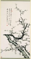 藏品(白梅)的圖片