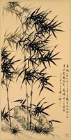 藏品(墨竹)的圖片