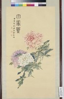 藏品(富貴花)的圖片