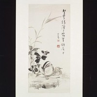 藏品(鴛鴦綠蒲)的圖片