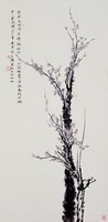 藏品(梅花)的圖片