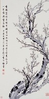 藏品(梅)的圖片