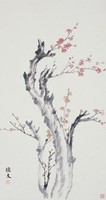 藏品(梅)的圖片