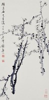 藏品(梅花)的圖片