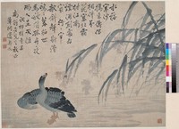 藏品(蘆雁)的圖片